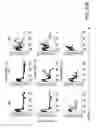 Fig. 71 - Mesothelin-targeted chimeric antigen receptors and uses thereof