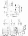 Fig. 72 - Mesothelin-targeted chimeric antigen receptors and uses thereof