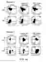 Fig. 74 - Mesothelin-targeted chimeric antigen receptors and uses thereof