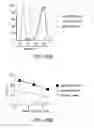 Fig. 75 - Mesothelin-targeted chimeric antigen receptors and uses thereof