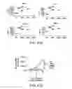 Fig. 79 - Mesothelin-targeted chimeric antigen receptors and uses thereof