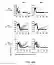 Fig. 80 - Mesothelin-targeted chimeric antigen receptors and uses thereof