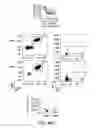 Fig. 83 - Mesothelin-targeted chimeric antigen receptors and uses thereof