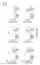 Fig. 86 - Mesothelin-targeted chimeric antigen receptors and uses thereof