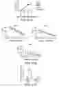 Fig. 87 - Mesothelin-targeted chimeric antigen receptors and uses thereof