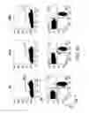 Fig. 95 - Mesothelin-targeted chimeric antigen receptors and uses thereof