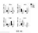 Fig. 96 - Mesothelin-targeted chimeric antigen receptors and uses thereof