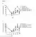 Fig. 53 - MULTIMERIC FC PROTEINS