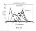 Fig. 04 - Anti-CD47 antibodies and methods of use