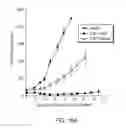 Fig. 13 - Anti-CD47 antibodies and methods of use