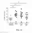 Fig. 18 - Anti-CD47 antibodies and methods of use