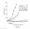 Fig. 19 - Anti-CD47 antibodies and methods of use