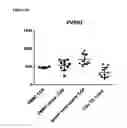 Fig. 07 - Anti-PVRIG antibodies and methods of use
