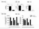 Fig. 17 - Anti-PVRIG antibodies and methods of use