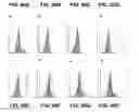 Fig. 191 - Anti-PVRIG antibodies and methods of use