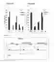 Fig. 20 - Anti-PVRIG antibodies and methods of use