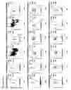 Fig. 216 - Anti-PVRIG antibodies and methods of use