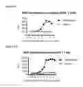 Fig. 03 - Anti-PD-1 antibodies and methods of use thereof