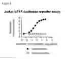 Fig. 15 - Anti-PD-1 antibodies and methods of use thereof