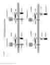 Fig. 35 - REGULATABLE CHIMERIC ANTIGEN RECEPTOR