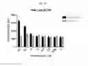 Fig. 45 - REGULATABLE CHIMERIC ANTIGEN RECEPTOR