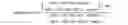 Fig. 02 - Antibody-fynomer conjugates