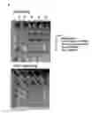 Fig. 04 - Antibody-fynomer conjugates