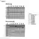 Fig. 07 - Antibody-fynomer conjugates
