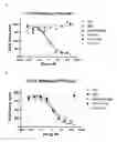 Fig. 22 - Antibody-fynomer conjugates