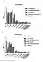 Fig. 40 - Antibody-fynomer conjugates