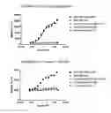 Fig. 48 - Antibody-fynomer conjugates