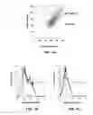 Fig. 02 - Human monoclonal antibody human CD134 (OX40) and methods of making and using same