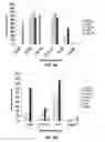 Fig. 06 - Human monoclonal antibody human CD134 (OX40) and methods of making and using same