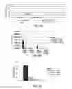 Fig. 09 - Human monoclonal antibody human CD134 (OX40) and methods of making and using same