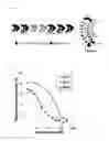 Fig. 04 - Polypeptide binding to extracellular domain of epidermal growth factor receptor