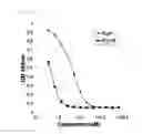 Fig. 06 - Polypeptide binding to extracellular domain of epidermal growth factor receptor