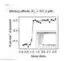 Fig. 07 - Polypeptide binding to extracellular domain of epidermal growth factor receptor