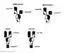 Fig. 01 - Heterodimeric antibodies to CD3 X CD123