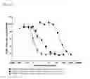 Fig. 147 - Heterodimeric antibodies to CD3 X CD123