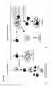 Fig. 178 - Heterodimeric antibodies to CD3 X CD123
