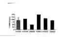 Fig. 43 - Heterodimeric antibodies to CD3 X CD123