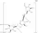 Fig. 19 - Immunomodulating beta-1,6-D-glucans