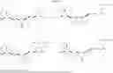 Fig. 30 - Immunomodulating beta-1,6-D-glucans