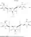 Fig. 34 - Immunomodulating beta-1,6-D-glucans