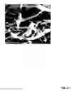 Fig. 24 - SOLVENT-BASED METHODS FOR PRODUCTION OF GRAPHENE NANORIBBONS