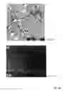 Fig. 26 - SOLVENT-BASED METHODS FOR PRODUCTION OF GRAPHENE NANORIBBONS