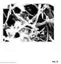 Fig. 27 - SOLVENT-BASED METHODS FOR PRODUCTION OF GRAPHENE NANORIBBONS