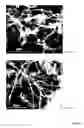 Fig. 37 - SOLVENT-BASED METHODS FOR PRODUCTION OF GRAPHENE NANORIBBONS