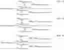 Fig. 02 - Ethylene-based polymer composition for films with improved toughness