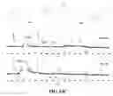 Fig. 69 - Associative polymers for use in a flow and related compositions, methods and systems